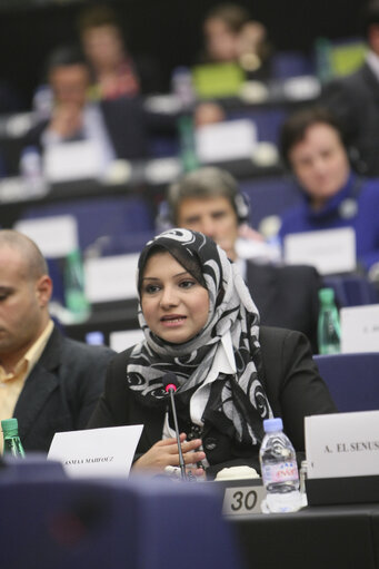 Photo 5: Sakharov Prize 2011. Arab Spring. Meetings with EPP GROUP