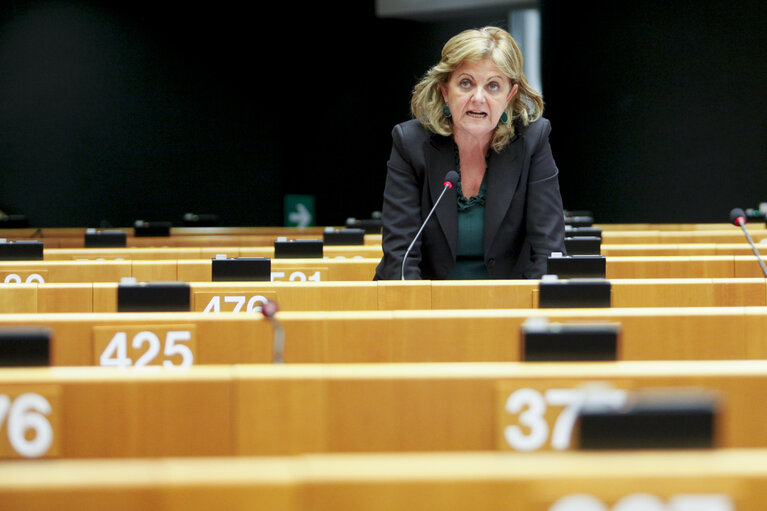 Foto 9: Plenary Session in Brussels - Week 48