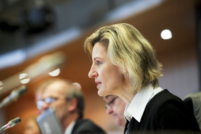 Fotografie 18: Mini-Hearing on The Recast of the Roaming Regulation