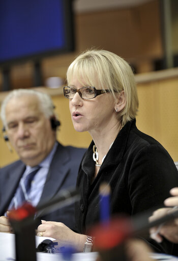 Discussion on the Irish Referendum with Margot WALLSTRÖM, Vice-President of the Commission responsible for Institutional Relations and Communication Strategy  Commission