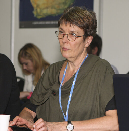 COP17. Climate Change Conference 2011 in Durban