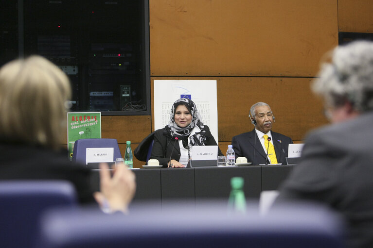 Fotografie 12: Sakharov Prize 2011. Arab Spring. Meeting with GREENS GROUP