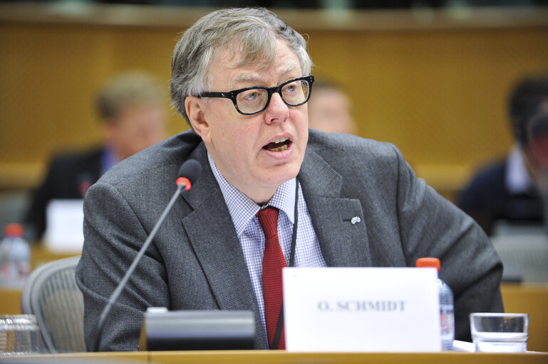 Fotogrāfija 22: ECON Committee Meeting: Economic and Monetary Affairs. Annual Tax Report