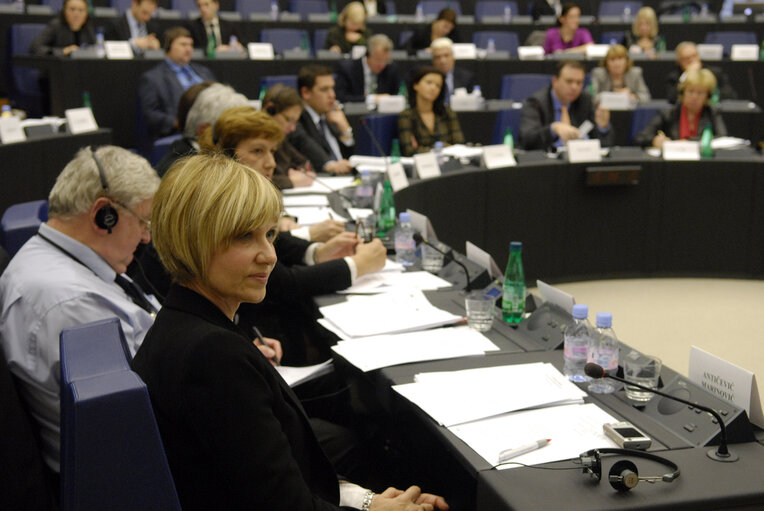 Снимка 5: The EU-Croatia joint parliamentary Meeting