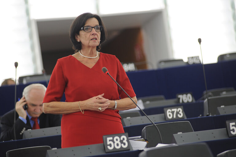 Photo 17: MEP in Plenary session in Strasbourg - week 39