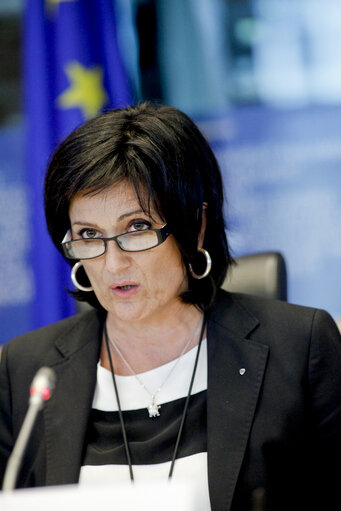 DEVE/DROI interparliamentary Committee Meeting; Human Rights Conditionality in Development Policy