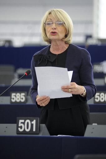 MEP in Plenary Session week 43