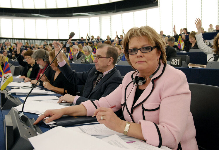 Foto 3: Siiri OVIIR MEP in plenary session in Strasbourg.