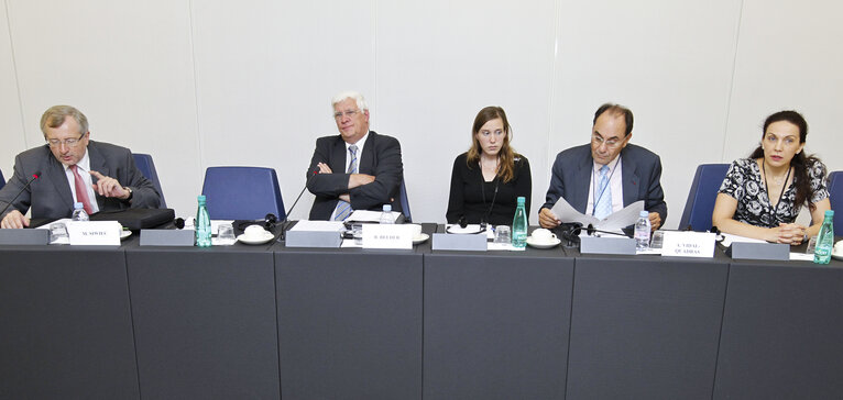 High Representative of the  European External Action Service