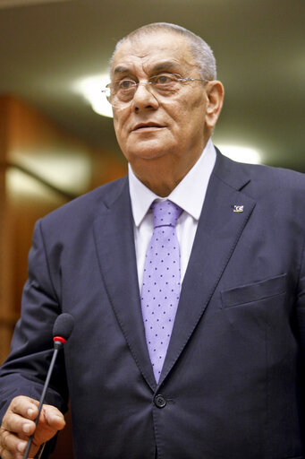 Portrait of MEP Potito SALATTO