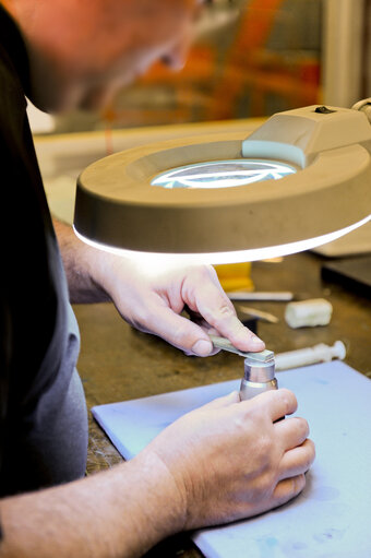 Suriet 33: Mintage of coins