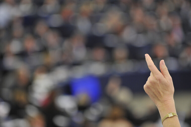 Photo 8 : Illustration - Hemicycle in Strasbourg, during a plenary  session, vote by show of hand