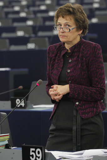 Φωτογραφία 31: MEP in Plenary Session week 43