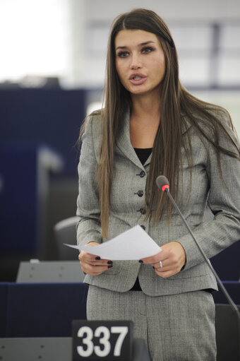 Fotografia 8: Plenary session in Strasbourg, week 43 - Situation of single mother