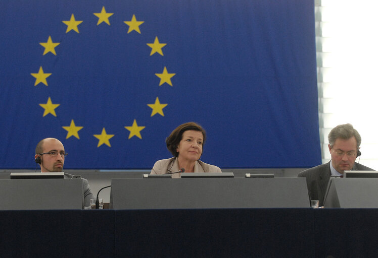 MEP Mechtild ROTHE in Plenary Session