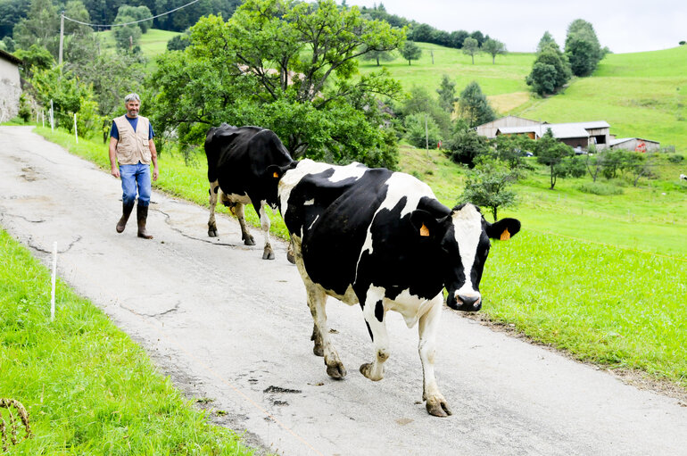 Fotografia 1: Agricultural production