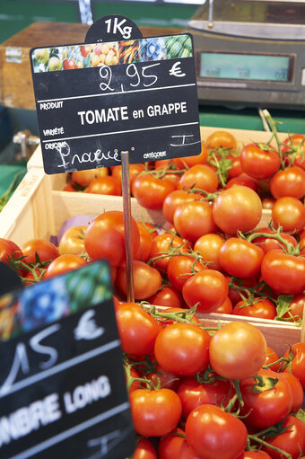 Fotografija 17: fruit, vegetable, market, tomato, tomatoes