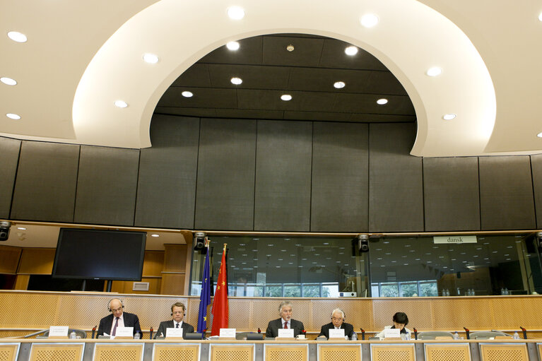 Foto 20: 31st EP/China Interparliamentary meeting in Brussels