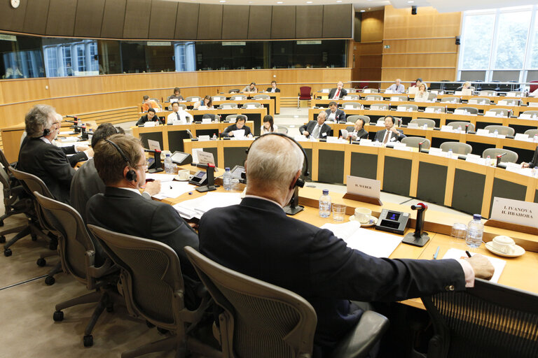 Foto 11: 31st EP/China Interparliamentary meeting in Brussels