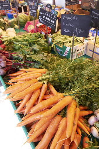 Fotografija 24: vegetable, market, beetroot, carrot