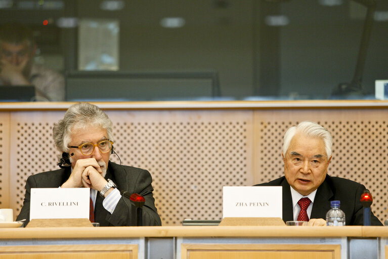 Foto 3: 31st EP/China Interparliamentary meeting in Brussels