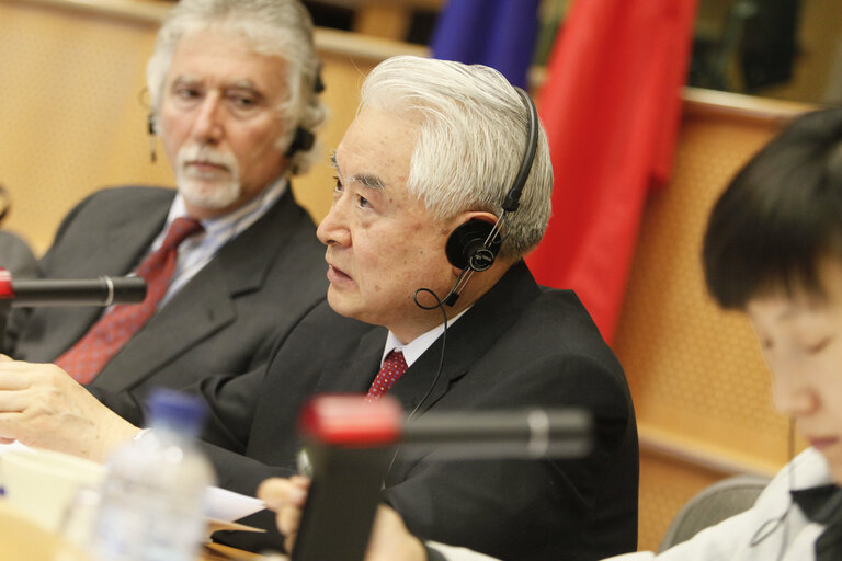 Fotografie 14: 31st EP/China Interparliamentary meeting in Brussels