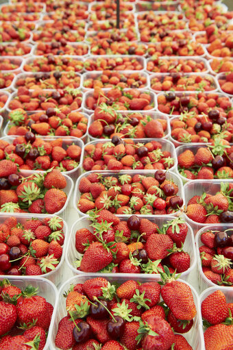 Fotografija 13: fruit, strawberry, market