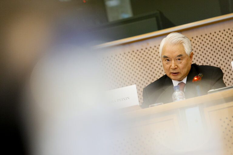 Fotografie 4: 31st EP/China Interparliamentary meeting in Brussels