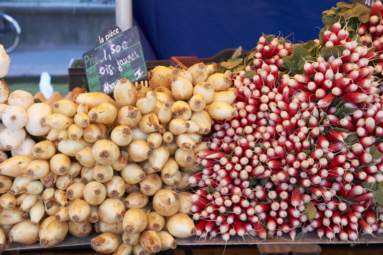 Fotografija 31: vegetable, onion, radish, market