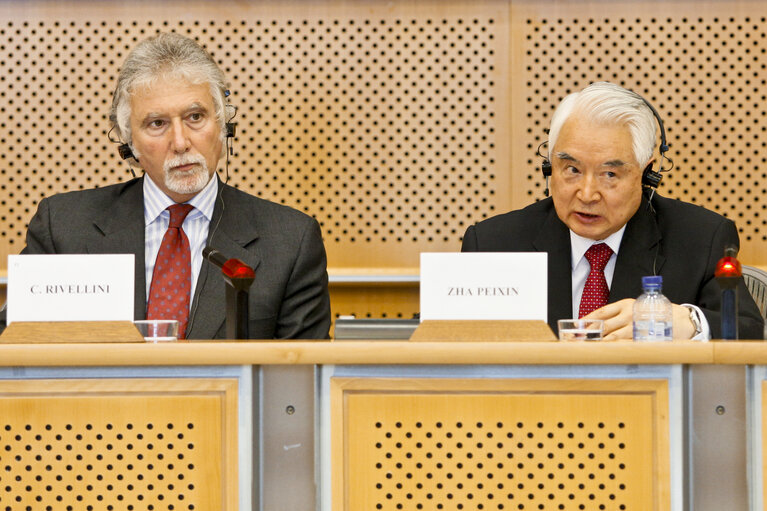 Foto 15: 31st EP/China Interparliamentary meeting in Brussels