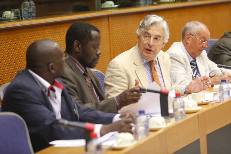 Fotografija 1: How the EU can help to ensure that elections in Zimbabwe are free and fair