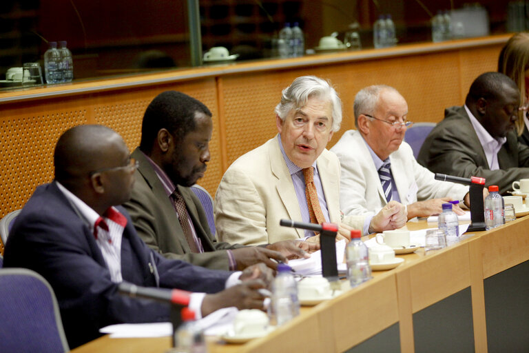 Φωτογραφία 3: Meeting 'How the EU can help to ensure that elections in Zimbabwe are free and fair.'