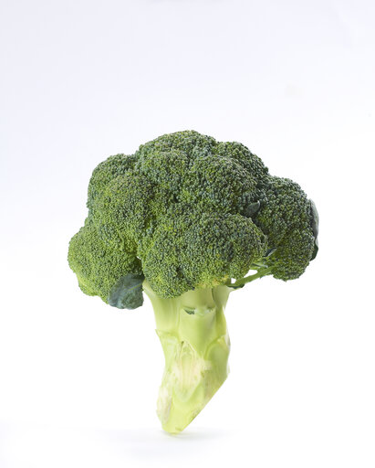 Fotografija 1: vegetable, food, broccoli