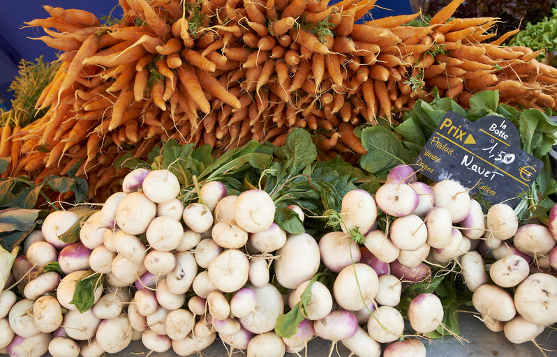 carrot, turnip, market