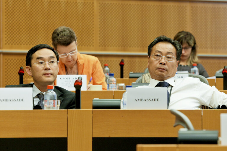 Fotografie 6: 31st EP/China Interparliamentary meeting in Brussels