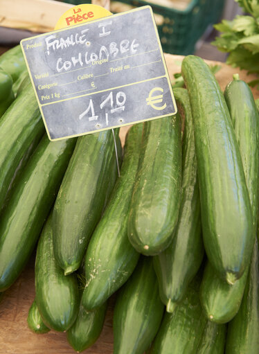 Fotografija 16: fruit, vegetable, cucumber, market