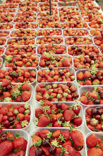 Fotografija 12: fruit, strawberry, market