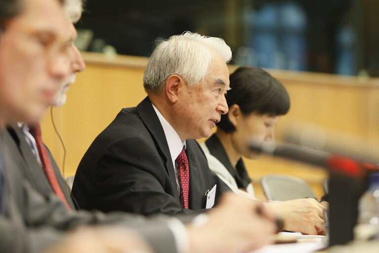 Fotografie 12: 31st EP/China Interparliamentary meeting in Brussels