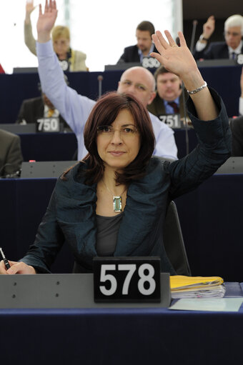 Foto 4: Romana JORDAN CIZELJ in Strasbourg hemicycle during votes