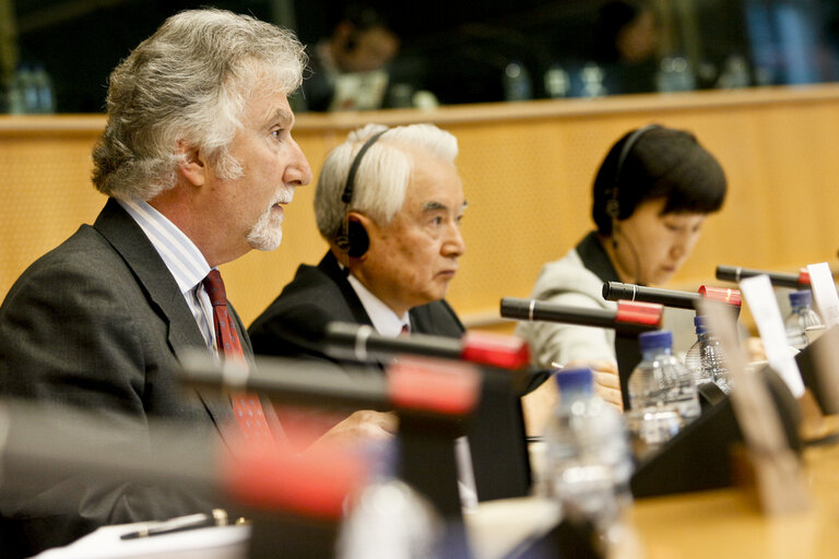 Fotografie 17: 31st EP/China Interparliamentary meeting in Brussels