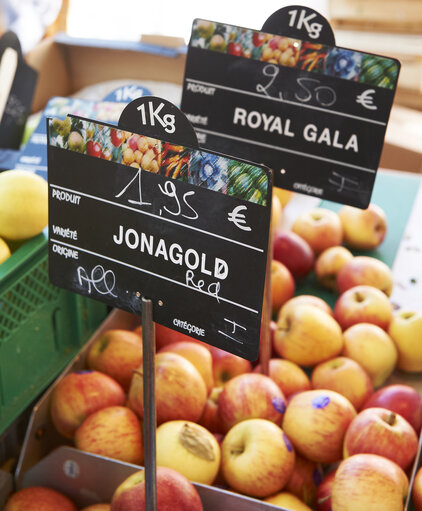 fruit, market, apples