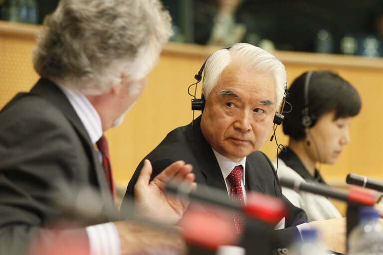 Fotografie 16: 31st EP/China Interparliamentary meeting in Brussels