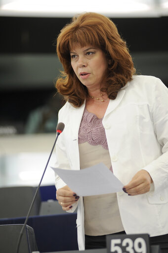 Fotografie 23: Plenary session week 23 - Application of Schengen acquis in Bulgaria and Romania