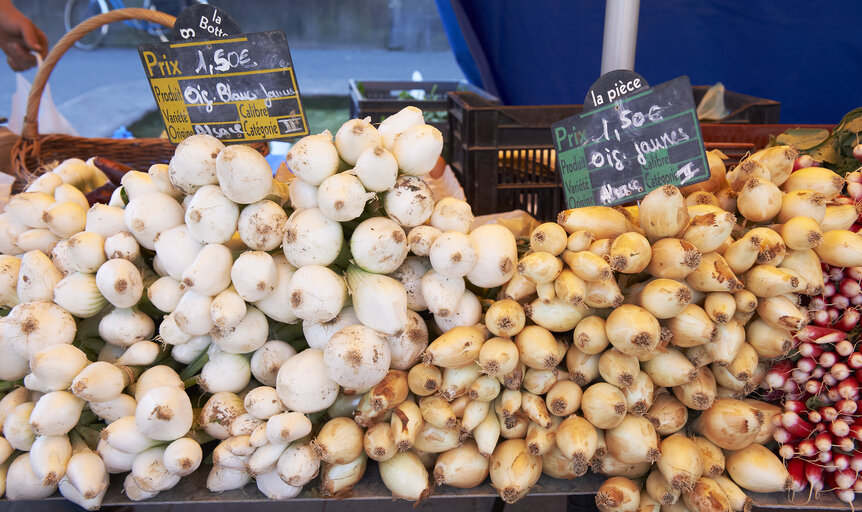 vegetable, onion, market