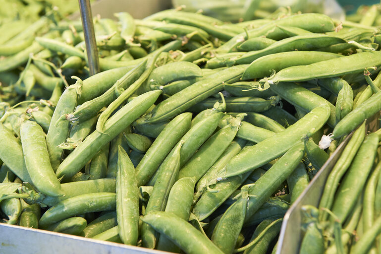 Fotografija 27: vegetable, market, peas, bean, beans