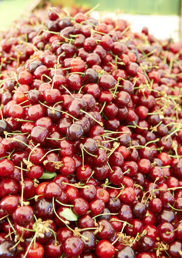 fruit, cherry, market