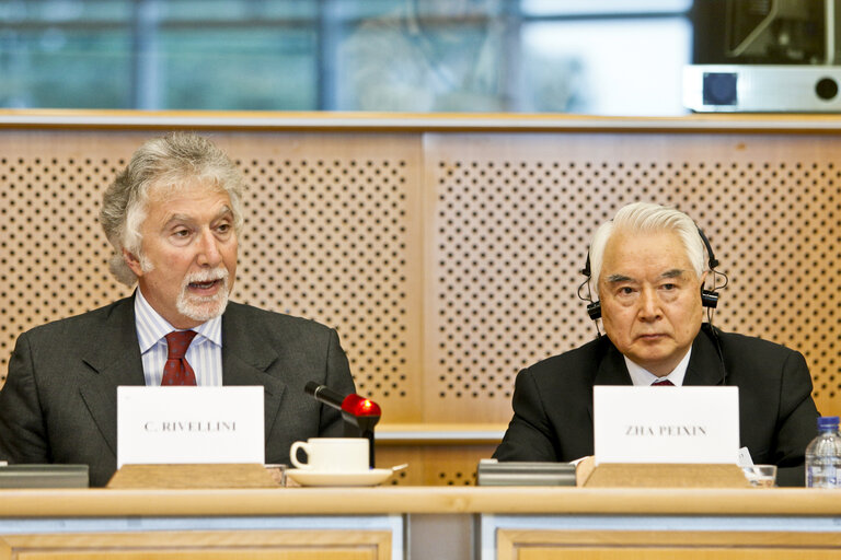 Foto 19: 31st EP/China Interparliamentary meeting in Brussels