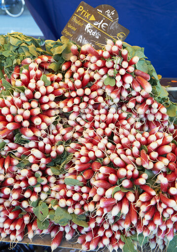 Fotografija 35: vegetable, radish, market