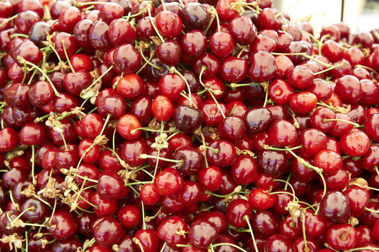 fruit, cherry, market