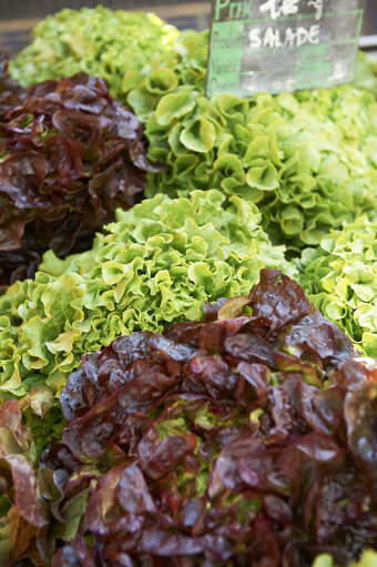 vegetable, salad, market